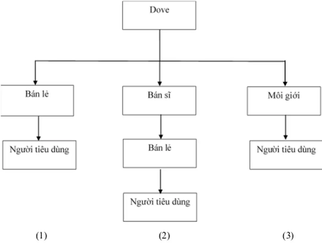 Tìm hiểu hoạt động marketing mix sản phẩm dove