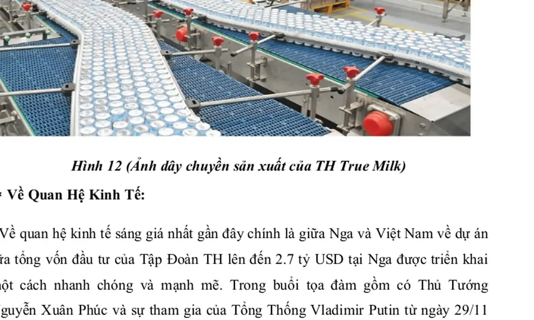 Hình 13 (Ảnh buổi tọa đàm giữa Nga-Việt) - PHÂN TÍCH CHIẾN lược sản PHẨM của TH TRUE MILK