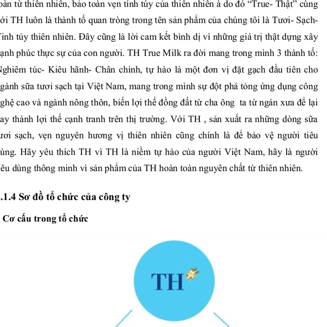 Hình: Hội Đồng Chiến lược và Ban Điều hành (nguồn: https://thgroupglobal.com/page/leadership). - PHÂN TÍCH CHIẾN lược sản PHẨM của TH TRUE MILK