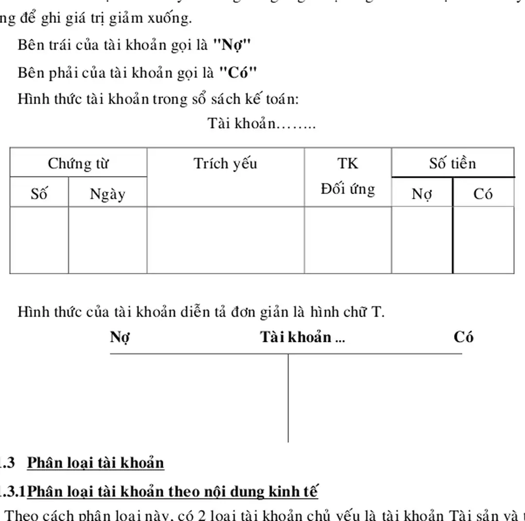 Hình thức tài khoản trong sổ sách kế toán: 