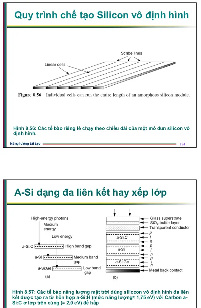 Hình 8.56: Các tế bào riêng lẻ chạy theo chiều dài của một mô đun silicon vô - bài giảng năng lượng tái tạo, tiềm năng và ứng dụng