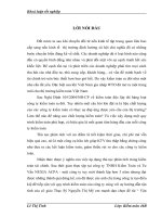 Vận dụng thủ tục phân tích trong kiểm toán báo cáo tài chính tại Công ty TNHH Kiểm Toán và Tư Vấn NEXIA ACPA