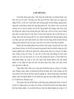 Đánh giá thực trạng phát triển thị trường tiêu thụ sản phẩm của HTX Song Long. Điều kiện và giải pháp