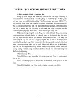 Báo cáo tổng hợp Công ty trách nhiệm hữu hạn Đại Đồng .doc