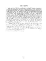 Tình hình thu hút FDI giai đoạn 1988 - 2008 và giải pháp thu hút FDI