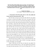 Phát triển các khu công nghiệp trên địa bàn tỉnh Bắc Ninh Thực trạng và giải pháp 