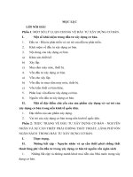 Tình trạng thất thoát, lãng phí vốn ngân sách Nhà nước trong đầu tư xây dựng cơ bản và biện pháp phòng chống.