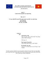 Các quy định liên quan đến cạnh tranh trong lĩnh vực ngân hàng của Việt nam