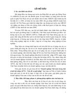 Doanh nghiệp Việt Nam trong tiến trình hội nhập AFTA - Vấn đề & giải pháp