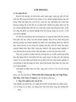 Phát triển thị trường nội địa của Tập Đoàn dệt may Việt Nam ( Vinatex)