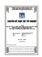 Thu hút đầu tư trực tiếp nước ngoài vào phát triển lĩnh vực dịch vụ trong bối cảnh Việt Nam là thành viên chính thức của WTO