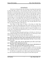 Thực trạng và giải pháp hoàn thiện công tác thẩm định dự án đầu tư tại Sở giao dịch NHTM CP Ngoại thương VN