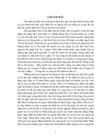 Một số vấn đề về thi hành án dân sự