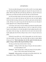 Một số giải pháp chủ yếu đẩy mạnh tốc độ tiêu thụ sản phẩm ở Công ty Thiết bị chiếu sáng đô thị Hùng Cường