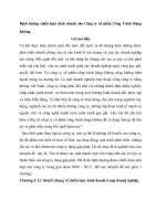 Định hướng chiến lược kinh doanh cho Công ty cổ phần Công Trình Hàng Không