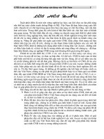 Công nghiệp hóa  ở các nước Asean & khả năng vận dụng vào Việt Nam