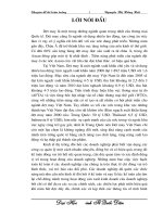 Tổ chức kế toán CPSX và tính GTSP tại Cty sản xuất - XNK Việt An