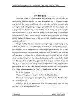 Quản lý mạng bán hàng của công ty cổ phần Bánh kẹo Hải Châu