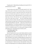 Đánh giá hiệu quả hoạt động của tòa án quốc tế (ICC) và khả năng tham gia của Việt Nam.doc