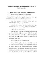 Giới thiệu hoạt động vốn kinh doanh tại công ty TNHH Long gia