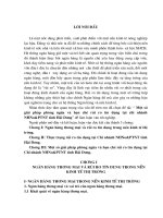 Một số giải pháp phòng ngừa và hạn chế rủi ro tín dụng tại chi nhánh ngân hàng nông nghiệp và phát triển nông thôn tỉnh Hải Dương