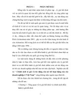 Chính sách tỷ giá và tác động của nó tới hoạt động của các doanh nghiệp ở Việt Nam