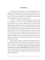 Phát triển hoạt động phân tích ngành ở chi nhánh trần bình trọng