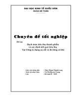hạch toán tiêu thụ thành phẩm và xác định kết quả tiêu thụ tại công ty dụng cụ cắt và đo lường