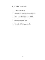 Kỹ thuật mã hóa thụ cảm