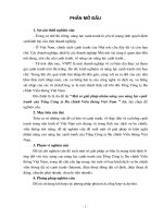 1 số giải pháp nhằm nâng cao năng lực cạnh tranh của Tổng C.ty Bưu Chính Viễn Thông Việt Nam