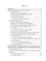 Tình hình đầu tư phát triển ở công ty cổ phần đầu tư và Xuất nhập khẩu Đoàn Minh Giang