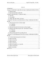 Tình hình sản xuất kinh doanh của Công ty cổ phần phát triển đầu tư Hà Nội