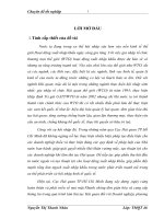 Hoàn thiện hoạt động tính thuế tại Cục Hải Quan TP .Hồ Chí Minh Sau khi Việt Nam gia nhập WTO