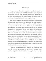 Đẩy mạnh hoạt động SXKD tại Cty SXKD đầu tư và dịch vụ Việt Hà