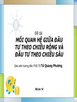 Thực trạng phát triển đầu tư theo chiều rộng và đầu tư theo chiều sâu và kết hợp giữa chúng phần 2