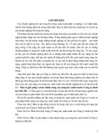 1 số giải pháp cơ bản nhằm nâng cao năng lực cạnh tranh ở C.ty Bánh kẹo Hải Hà