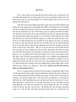 Nghiên cứu biến tính tinh bột bằng các phương pháp hoá học