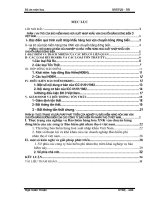 Một số vấn đề về triển khai nghiệp vụ bảo hiểm Hàng hóa XNK vận chuyển bằng đường biển tại Cty bảo hiểm Hà Nội