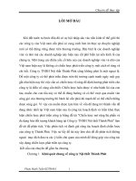 Chiến lược mở rộng thị phần và đa dạng hóa đối tượng khách hàng tại Cty TNHH Nội thất Thành Phát.