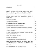 Chế định về quyền SHTT liên quan đến thương mại của WTO và việc hoàn th0iện các quy định tương ứng của Việt nam