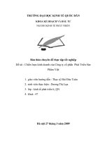 Chiến lược KD của Cty cổ phần Phát Triển Sản Phẩm Việt