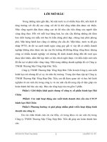 Báo cáo thực tập Tại Công ty CP bánh kẹo Hải Châu