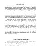 Báo cáo tổng hợp về Công ty TNHH Tân Hoàng Linh.doc