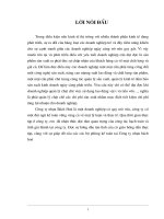 Báo cáo tổng hợp Công ty nhựa bách hoá .doc