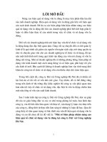 Một số biện pháp nhằm nâng cao hiệu quẩ tổ chức sử dụng vốn lưu động tại Công ty dệt vải công nghiệp Hà Nội