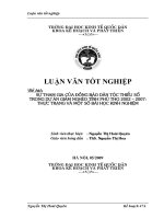Sự tham gia của dồng bào DTTS trong dự án giảm nghèo tỉnh Phú Thọ 2002 – 2007. Thực trạng và một số bài học kinh nghiệm