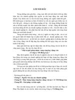 Một số giải pháp nhằm tăng cường huy động vốn ở công ty thương mại Hương Lúa