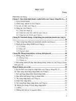 Thực trạng & Giải pháp trong công tác NK tại Cty Sông đà 12