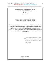 Thực trạng và giải pháp nhằm nâng cao hiệu quả quy trình SX và XK tại PROSIMEX.DOC