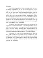 Phân tích thị trường thẻ ATM Đông Á năm 2009-2010